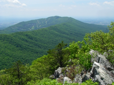 Places to visit in Harrisonburg, Virginia