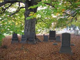 From Diamonds to Trees: 5 Cool Ways to Afterlife