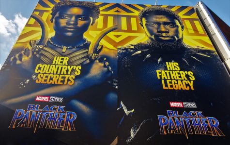 Black Panther: A Review